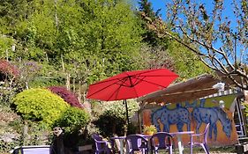 Tiny House cosy, jardin romantique forestier, route du vin, sentiers